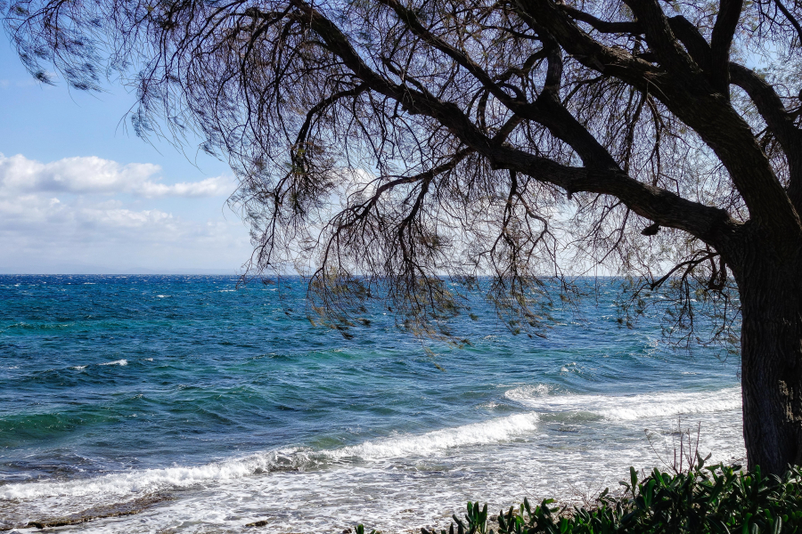Kαιρός: Έρχεται Σαββατοκύριακο με αστάθεια και ισχυρά μελτέμια – Η πρόγνωση Κολυδά