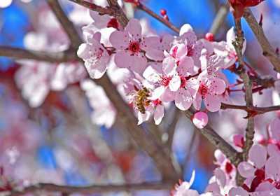 Αραιές νεφώσεις και μικρή άνοδος της θερμοκρασίας σήμερα