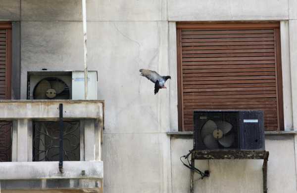 Οκτάμηνη παράταση έδωσε το ΥΠΕΝ για τα αυθαίρετα