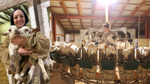 Γυναίκες στα αγροτικά μπλόκα: Μια ιστορία δύναμης και περηφάνιας