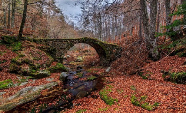 Photo: Αρχείο Dikaiologitika News