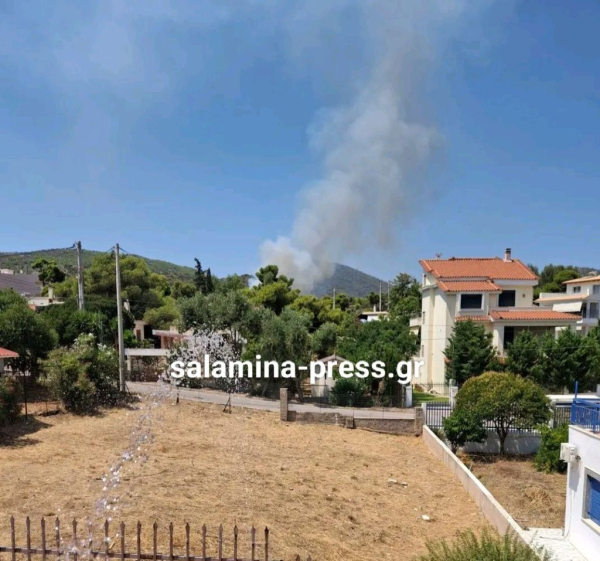 Τέθηκε υπό έλεγχο η φωτιά στη Σαλαμίνα