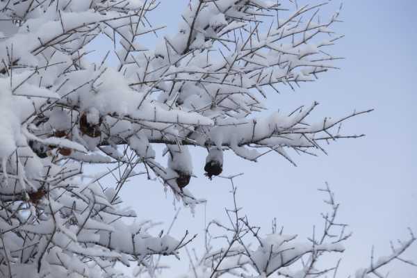 Ποια σχολεία θα παραμείνουν αύριο κλειστά λόγω του χιονιά