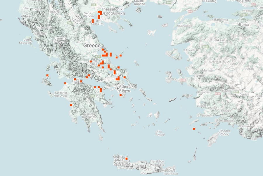 Μωβ μέδουσες: Live χάρτης με τις παραλίες που έχουν εμφανιστεί οι τσούχτρες
