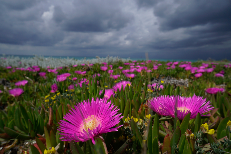 Καιρός Πρωτομαγιάς: Η θερμική αστάθεια φέρνει καταιγίδες - Η μέρα που «κλειδώνει» η κακοκαιρία