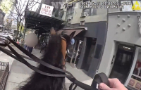 Νέα Υόρκη: Αστυνομικός καταδίωξε κλέφτη... «καβάλα στ' άλογο» (Βίντεο)