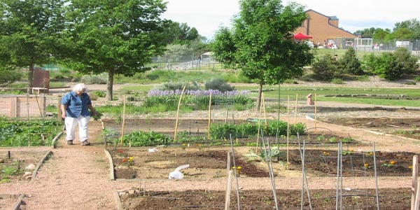 Πρόγραμμα Βιολογική Γεωργία Μέτρο 214