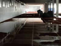 Σε «πισίνα» μετατράπηκε το κλειστό προπονητήριο στίβου του ΟΑΚΑ (Εικόνες, Βίντεο)