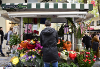 Νέα μεταρρύθμιση με κωδικό όνομα «Αριάδνη», φορολογία ασφαλισμένου με ένα κλικ