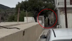 Βορίζια: Σύλληψη του δεύτερου ατόμου που εμφανίζεται στο βίντεο με τους πυροβολισμούς