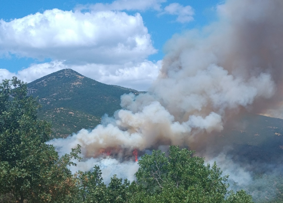 Φωτιά τώρα στα Γρεβενά