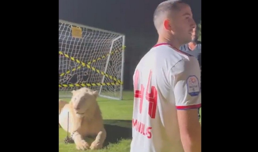 Τα... «έκανε πάνω του» ο Κώστας Μανωλάς στη φωτογράφιση για τη Αλ Σαρτζά (βίντεο)