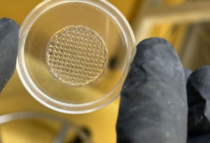 Ερευνητές δοκιμάζουν καλλυντικά σε 3D εκτυπωμένο δέρμα