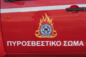 Φωτιά τώρα στον εθνικό δρυμό της Βάλια Κάλντα