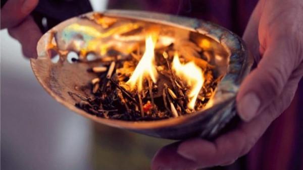 Σοκ στην Κύπρο από τον θάνατο 34χρονης σε τελετή σαμανισμού - Τι είναι το φονικό φυτό Ayahuasca