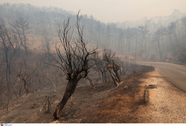Διακοπή κυκλοφορίας λόγω της μεγάλης φωτιάς στα Δερβενοχώρια