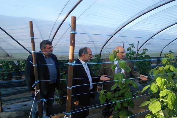 Παραπομπή Μπόλαρη στον ΕΛΓΑ για τις αποζημιώσεις