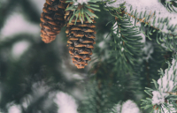 Έρχεται πραγματικός χειμώνας την Πρωτοχρονιά