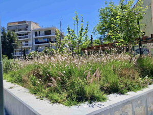 Αποστολόπουλος:«Όσο και να προσπαθεί ο κύριος Μπακογιάννης να μειώσει την εικόνα της Αθήνας η αλήθεια δεν κρύβεται»