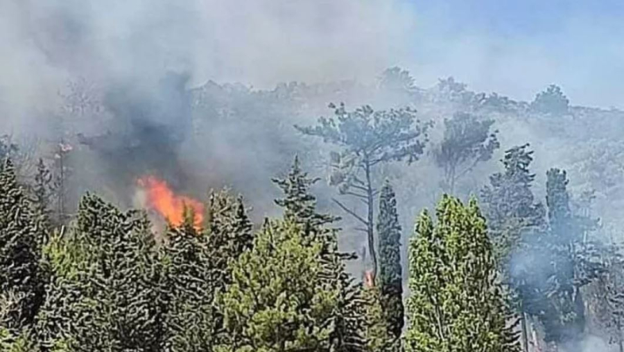 Φωτιά στην Μυτιλήνη, επί ποδός η Πυροσβεστική