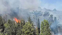Φωτιά στην Μυτιλήνη, επί ποδός η Πυροσβεστική