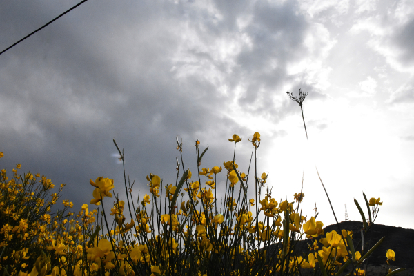 Κλέαρχος Μαρουσάκης: Έρχονται λασποβροχές, παίρνουμε μία «ανάσα» και ξανά νέα κακοκαιρία