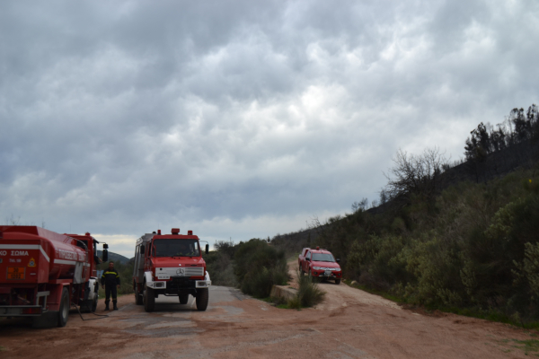 Μεσσηνία: Προθεσμία για να απολογηθούν πήραν οι τρεις κατηγορούμενοι για τους εμπρησμούς - Αρνούνται τις κατηγορίες