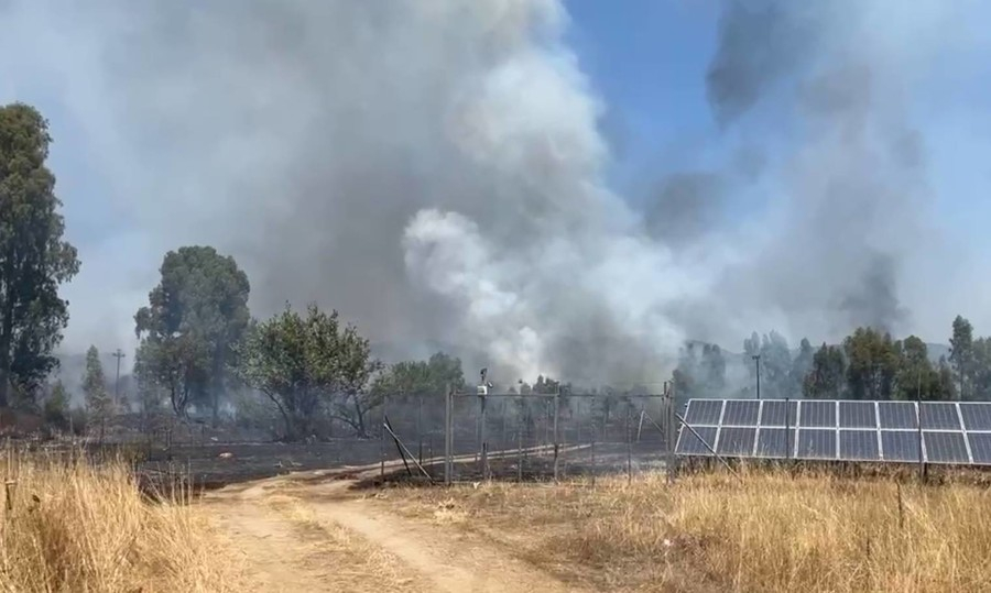 Φωτιά τώρα στη Λακωνία - Εστάλη μήνυμα από το 112