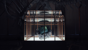 Ολλανδία: Δημοπρατείται τσάντα από... κολλαγόνο Τυραννόσαυρου