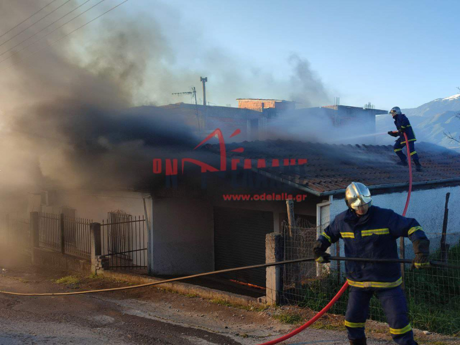 Στις φλόγες τυλίχθηκε μονοκατοικία στην Νέα Έφεσο (video)