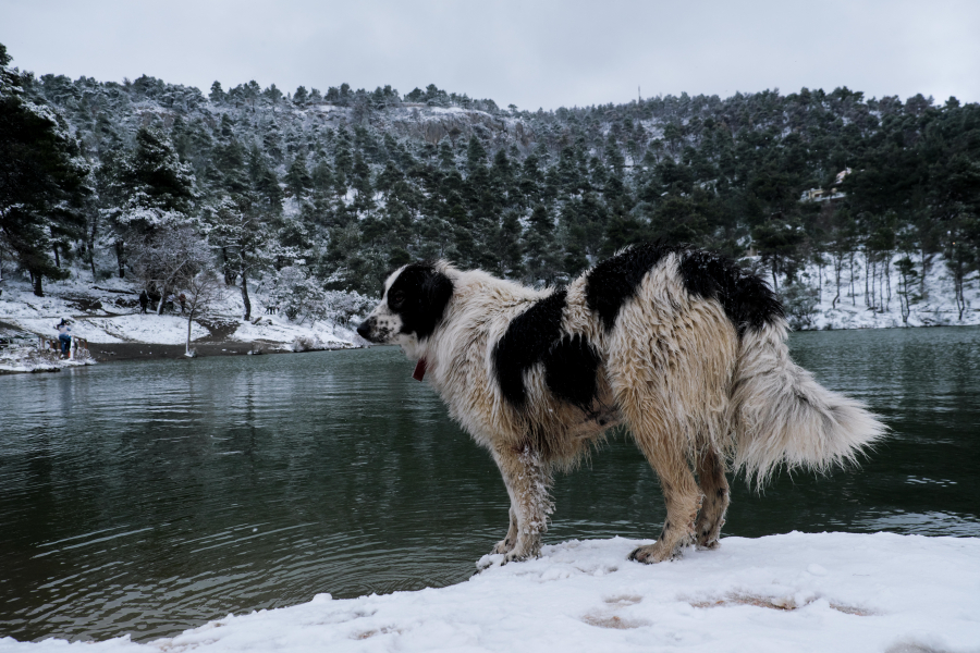 Στην κατάψυξη η χώρα από την κακοκαιρία Ελπίς: Live πού θα πέσουν χιόνια σήμερα, νέο ισχυρό κύμα από Δευτέρα