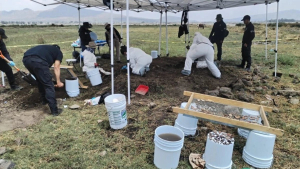 Φρίκη στο Μεξικό: Ακτιβιστές εντόπισαν πάνω από 1.000 ανθρώπινα οστά σε λίμνη