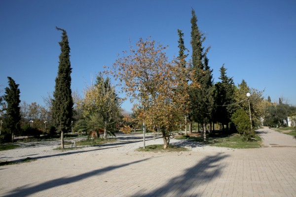 Αναβαθμίζεται το Άλσος Αιγάλεω