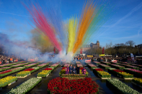 Οι Ολλανδοί γιόρτασαν την εθνική ημέρα τουλίπας - Μοιράστηκαν πάνω από 200.000 (Εικόνες - Βίντεο)