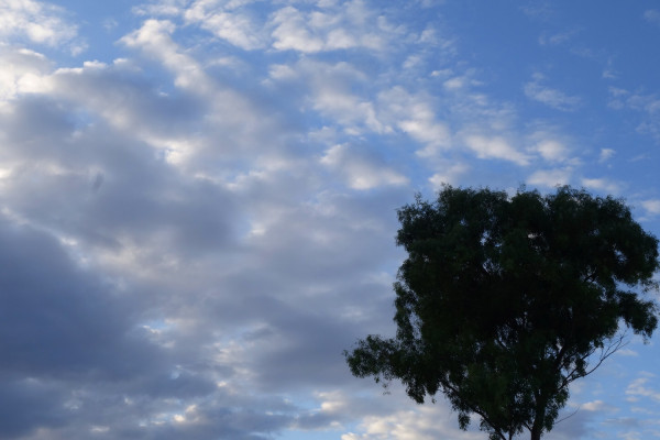 Καιρός ΕΜΥ: Θερμοκρασίες που θυμίζουν καλοκαίρι με... τοπικές βροχές!