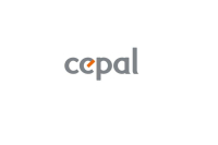 Cepal Delivers Higher Earnings in 2025, Yet Warning Signs Emerge in Balance Sheet