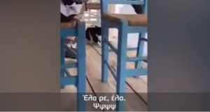 Απόφαση - ντροπή για τον 30χρονο που κλώτσησε γατάκι στη θάλασσα: «Δεν ήταν κακοποίηση» (βίντεο)