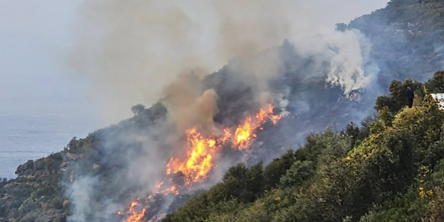 Λευκάδα: Αυτοβούλως στο Αστυνομικό Τμήμα 60χρονος που ευθύνεται για τη μεγάλη φωτιά