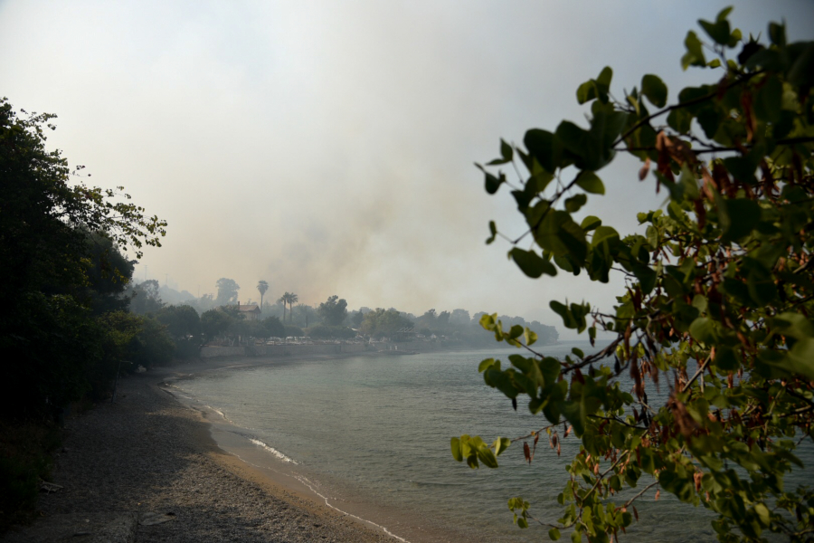 Φωτιά στην Αχαΐα: Απομακρύνθηκαν 110 παιδιά από κατασκήνωση και κάτοικοι από την κοινότητα Λόγγου