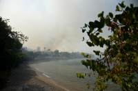 Φωτιά στην Αχαΐα: Απομακρύνθηκαν 110 παιδιά από κατασκήνωση και κάτοικοι από την κοινότητα Λόγγου
