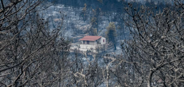 Θρίλερ στα Βίλια: Βρέθηκε ανθρώπινο κρανίο κοντά σε αποθήκη (βίντεο)