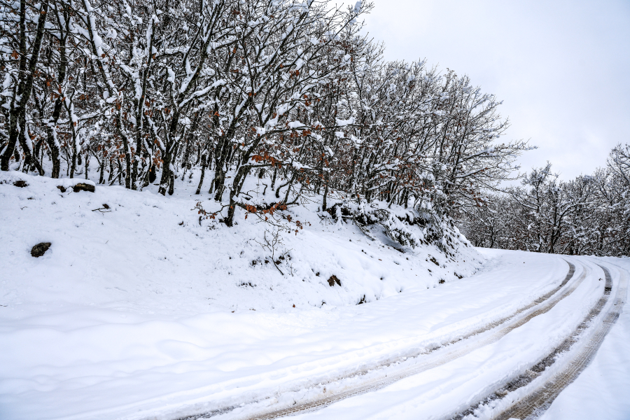 Τι είναι ο σιβηρικός αντικυκλώνας που έρχεται, νέα πρόγνωση για την «ψυχρή» κακοκαιρία