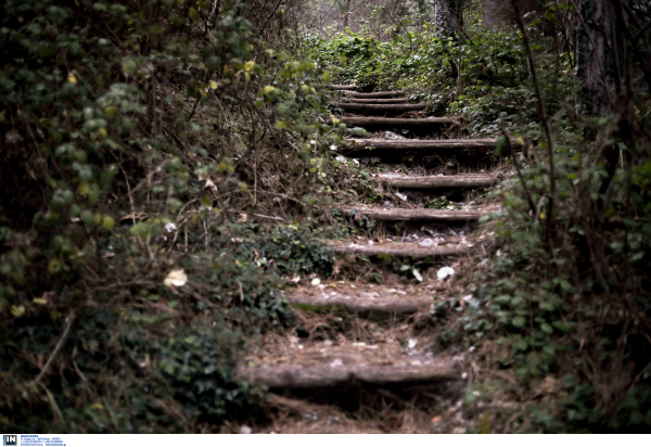 ΦΑΡΑΓΓΙ ΤΟΥ ΠΟΤΑΜΟΥ ΕΝΙΠΕΑ