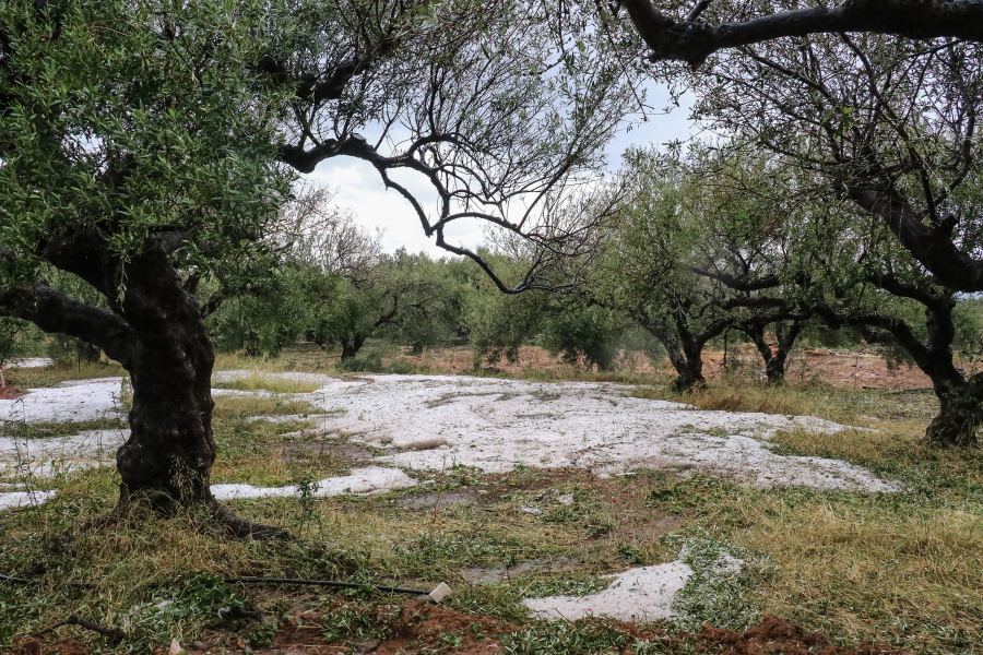 Εύβοια-κακοκαιρία: Χαλάζι «σφυροκόπησε» την Ερέτρια, αστραπές «φώτισαν» τη νύχτα (βίντεο)
