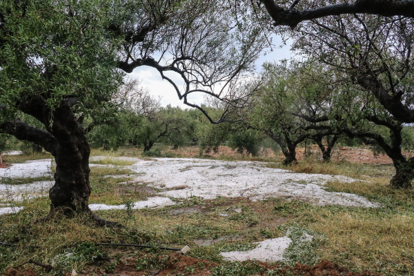 Εύβοια-κακοκαιρία: Χαλάζι «σφυροκόπησε» την Ερέτρια, αστραπές «φώτισαν» τη νύχτα (βίντεο)