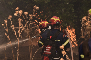 Μεγάλη φωτιά τώρα στις Σέρρες - 80 πυροσβέστες στο πύρινο μέτωπο