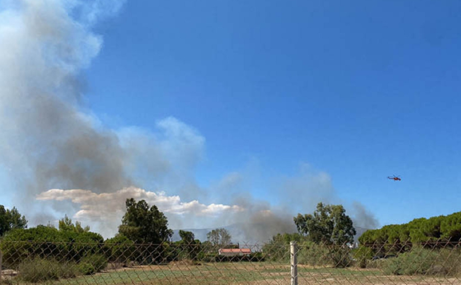 Μαραθώνας: Μεγάλη φωτιά τώρα στον Σχινιά - Εντολή για εκκένωση στις περιοχές Παλιούρι και Ριζάρη