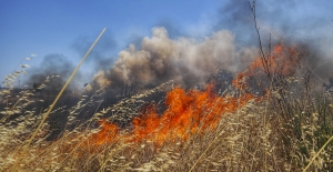 Έρχονται πρόστιμα σε όσους δεν καθαρίζουν τα οικόπεδά τους από ξερά χόρτα