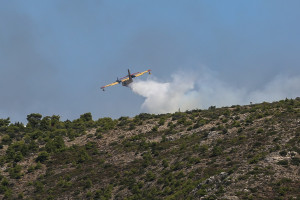 Έξω φρενών ο δήμαρχος με τη φωτιά στο Λαύριο