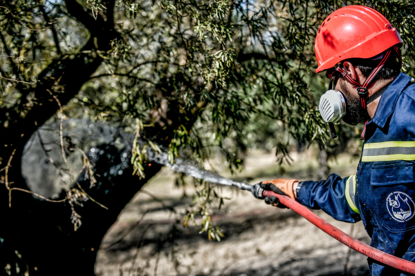 Φωτιά στην Αργολίδα: Τραυματίστηκε σοβαρά πυροσβέστης που έπεσε σε βράχια